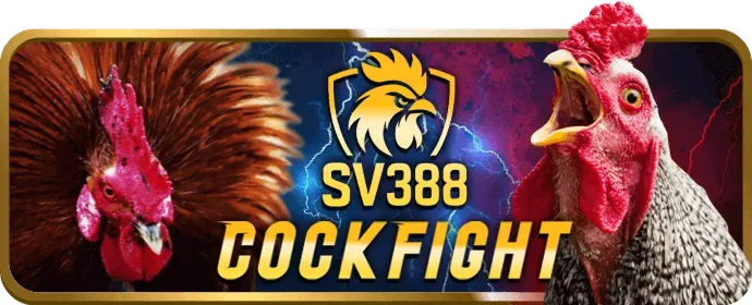 Hình ảnh đội ngũ hỗ trợ khách hàng của bj388 casino sẵn sàng giải đáp thắc mắc về GDPR